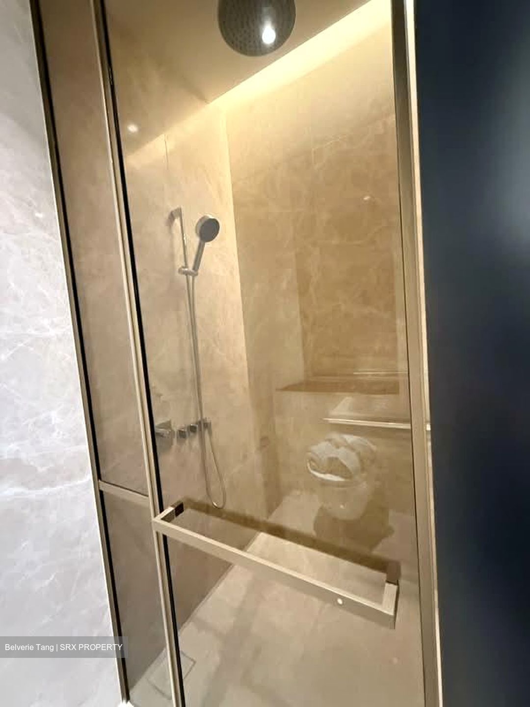 19 Nassim (D10), Apartment #576785481